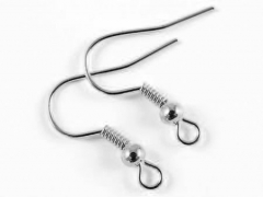 5 pairs Stainless Steel Earring Hooks SPA-001