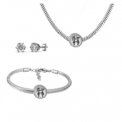 Conjunto joyas con pendientes para pulseras collar de acero inoxidable PDS241